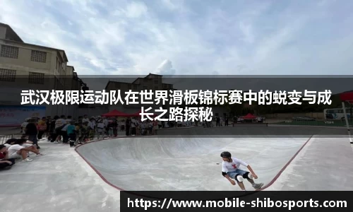世博体育APP