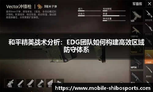 和平精英战术分析：EDG团队如何构建高效区域防守体系